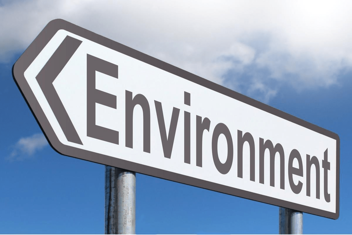 What is Environment?
